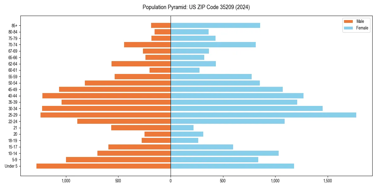 Population pyramid for 