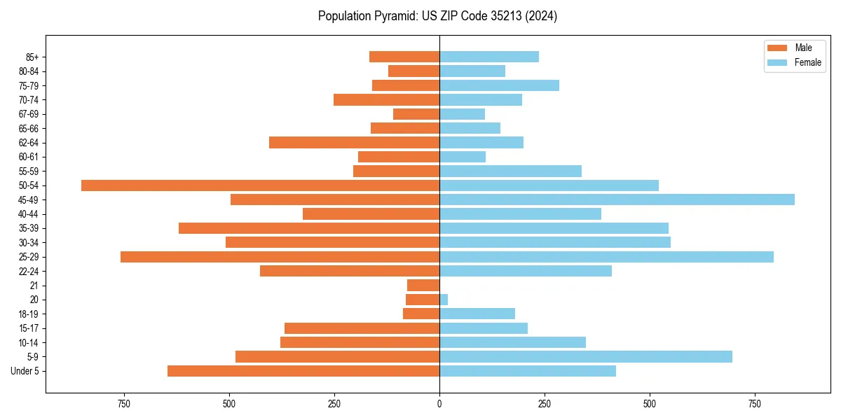 Population pyramid for 