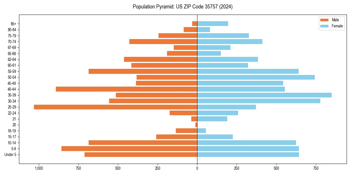 Population pyramid for 