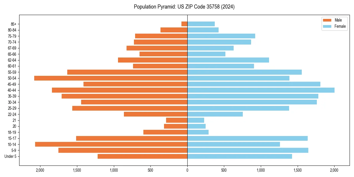 Population pyramid for 