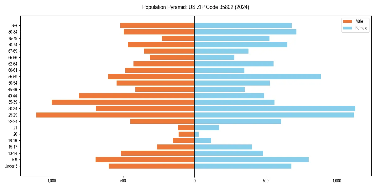 Population pyramid for 