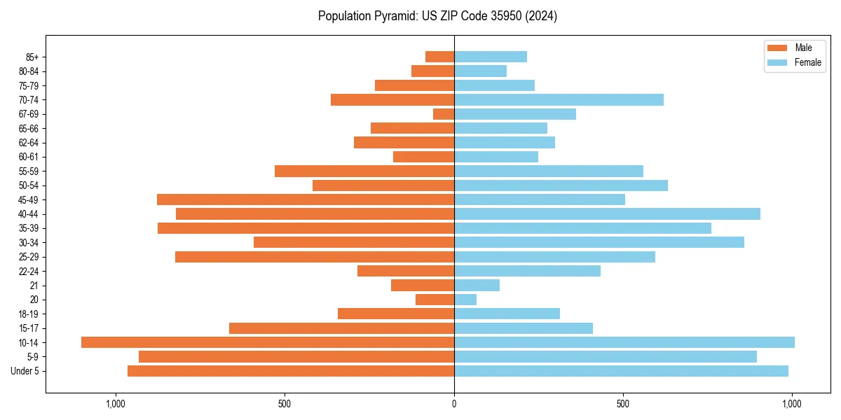 Population pyramid for 