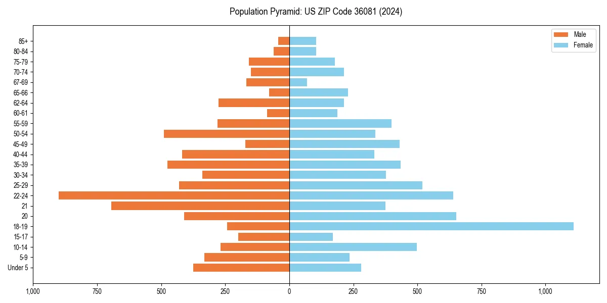 Population pyramid for 