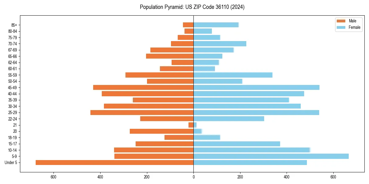 Population pyramid for 