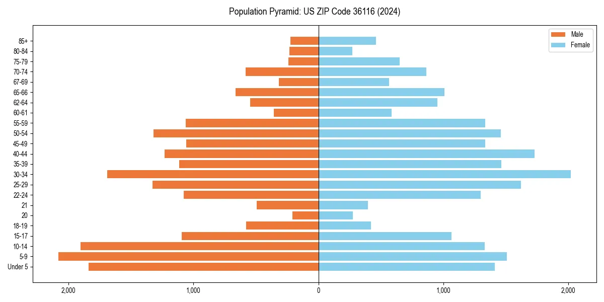Population pyramid for 