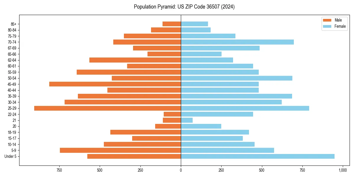 Population pyramid for 