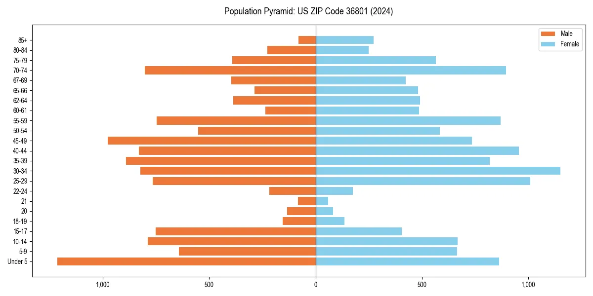 Population pyramid for 