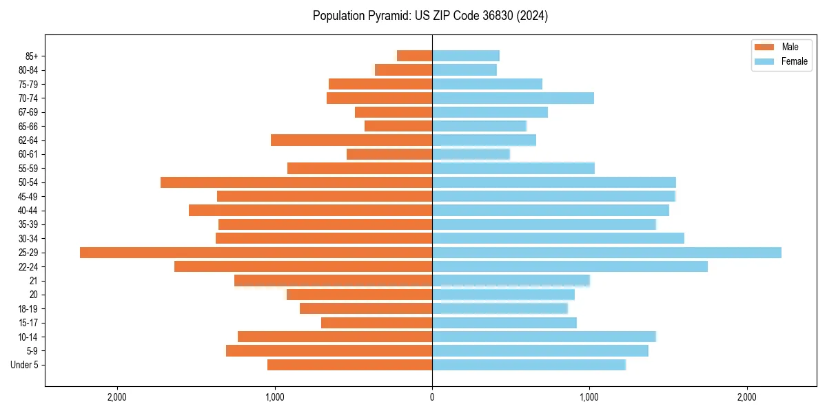 Population pyramid for 