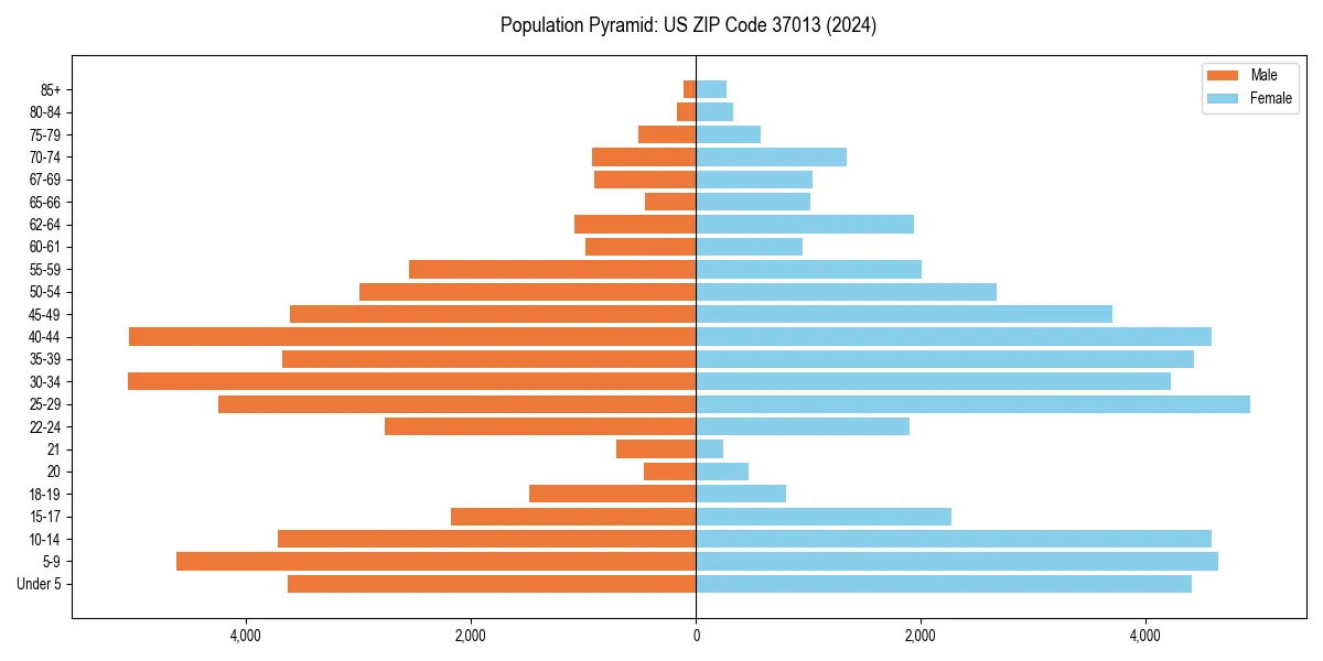 Population pyramid for 