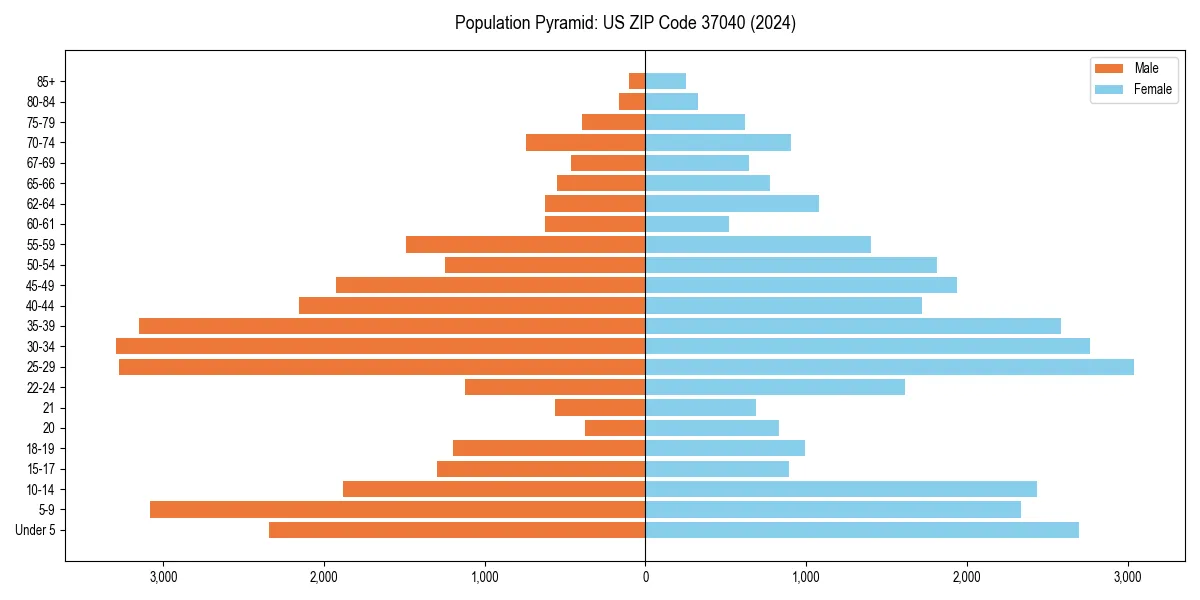 Population pyramid for 