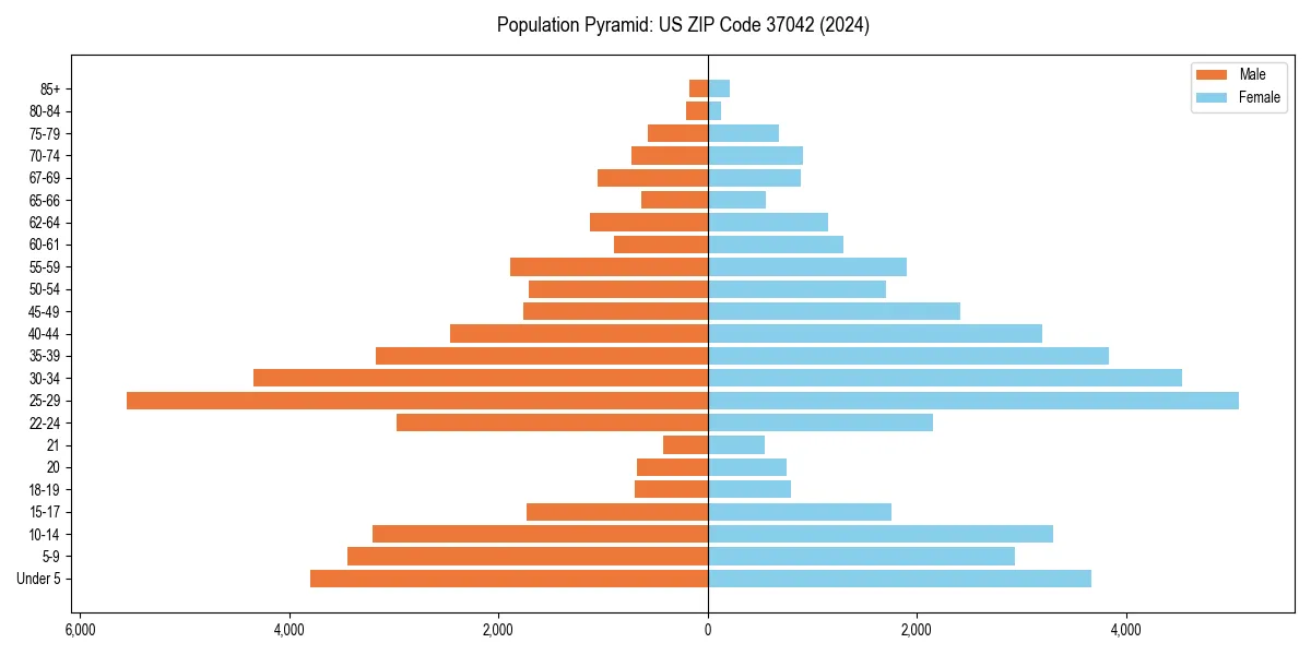 Population pyramid for 