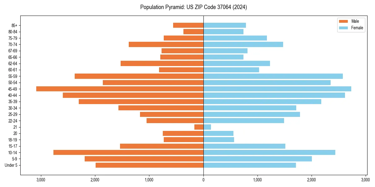 Population pyramid for 