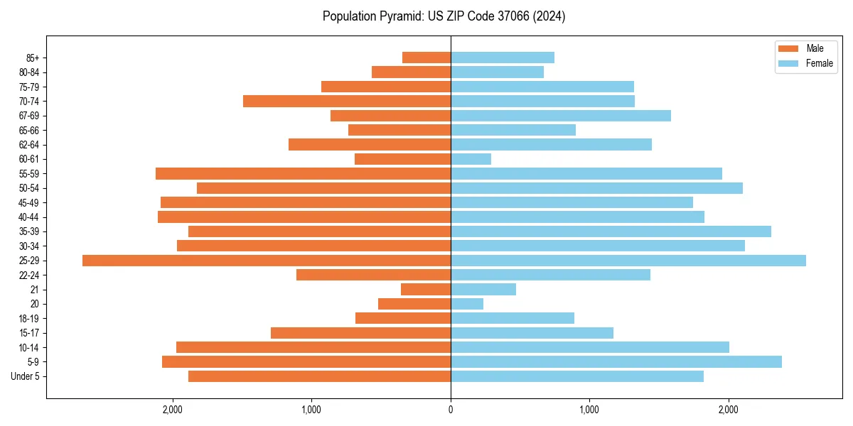 Population pyramid for 