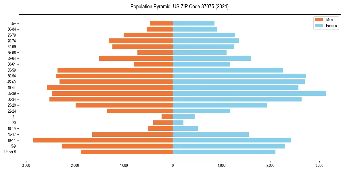 Population pyramid for 