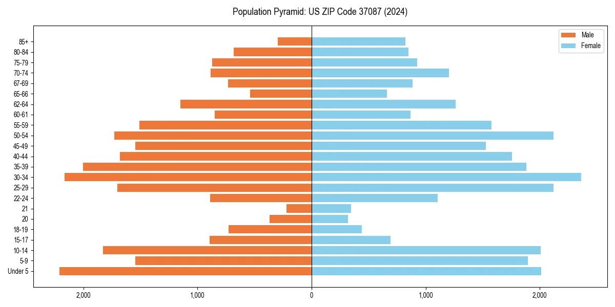 Population pyramid for 
