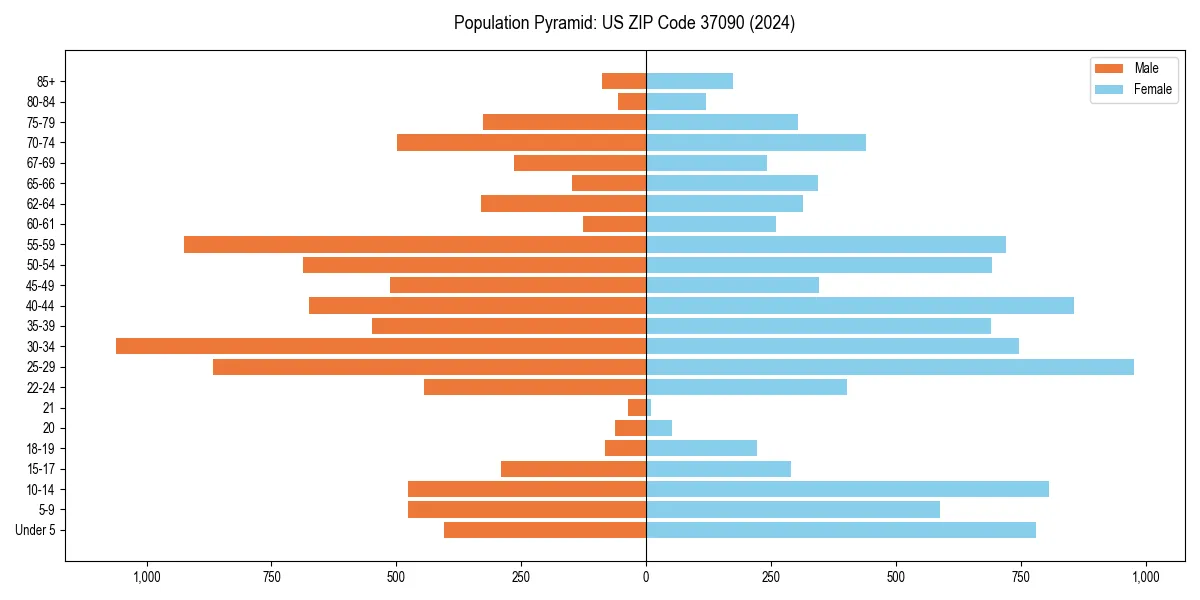Population pyramid for 
