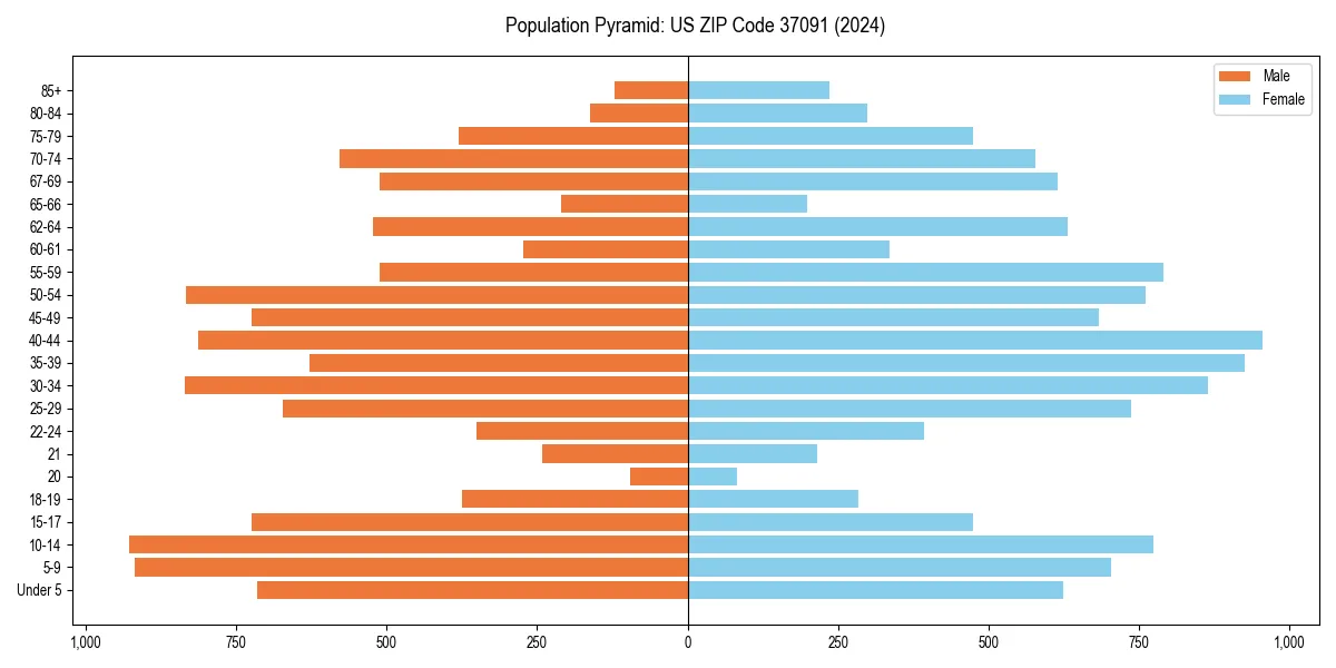 Population pyramid for 