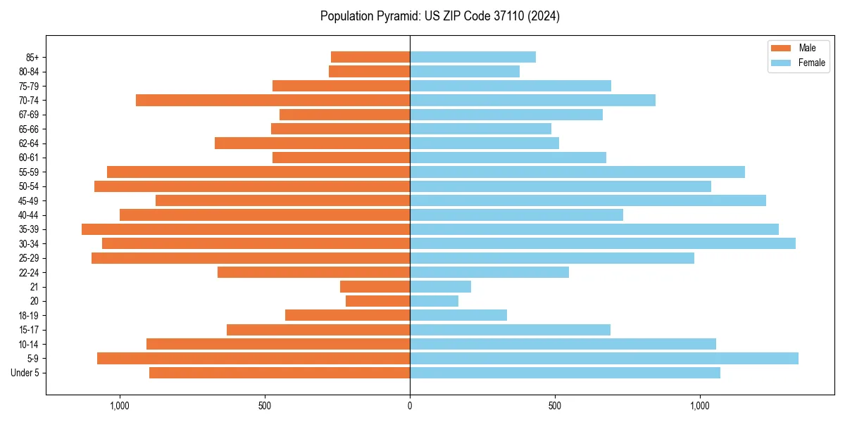 Population pyramid for 
