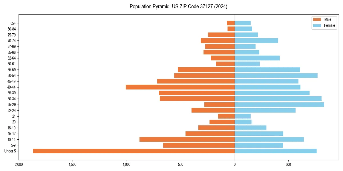 Population pyramid for 