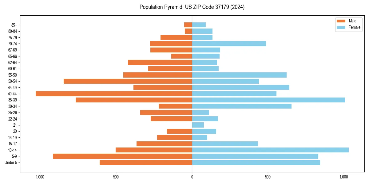 Population pyramid for 