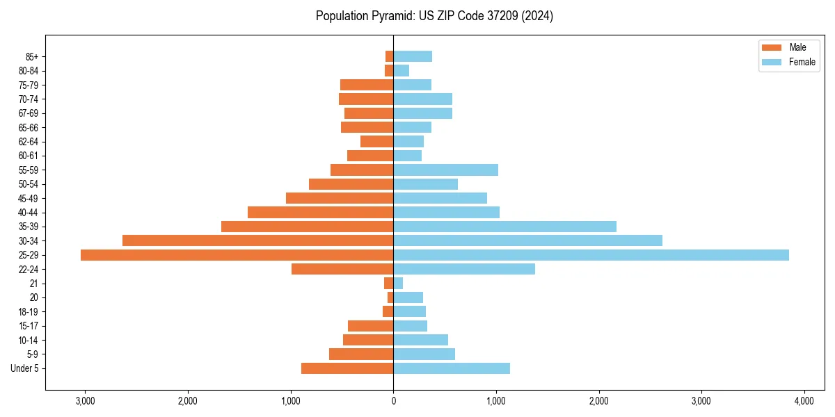 Population pyramid for 