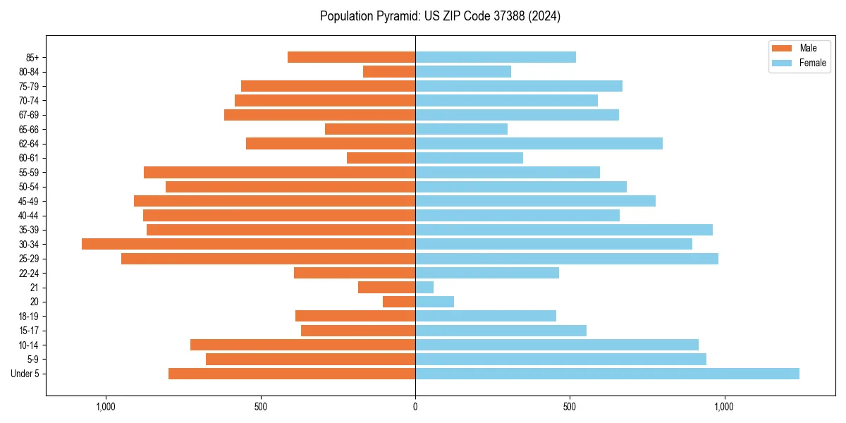Population pyramid for 