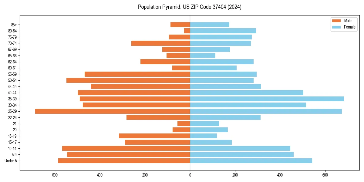 Population pyramid for 