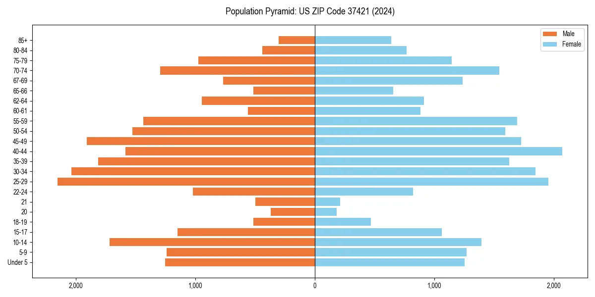 Population pyramid for 