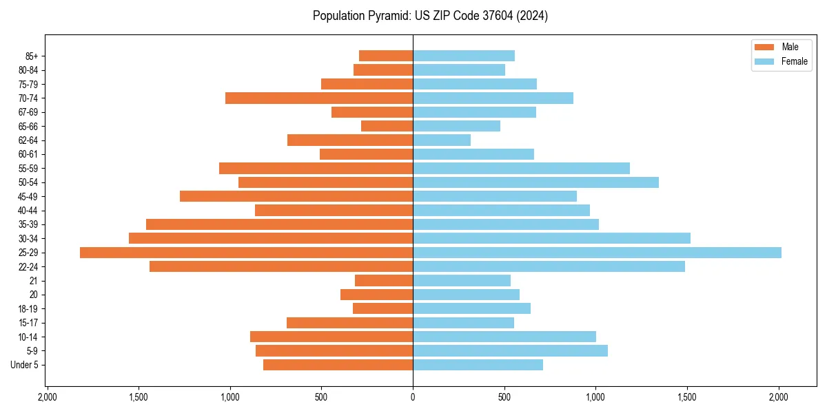 Population pyramid for 