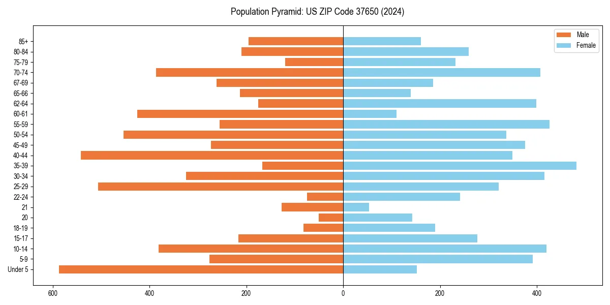 Population pyramid for 