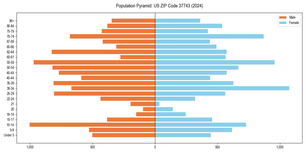 Population pyramid for 