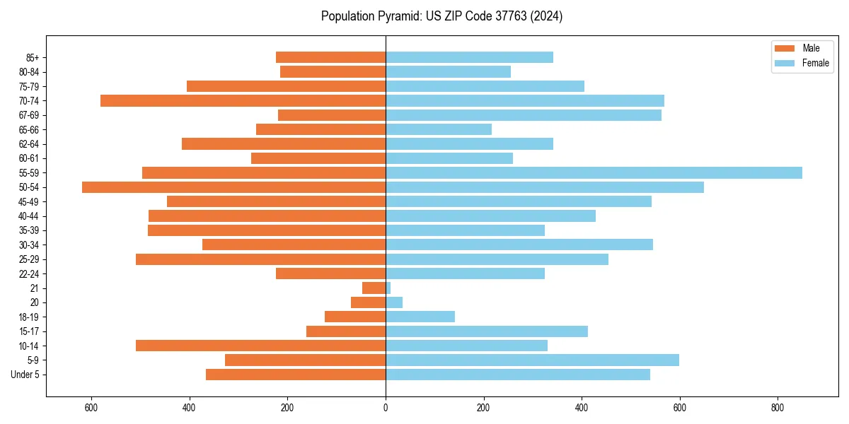Population pyramid for 