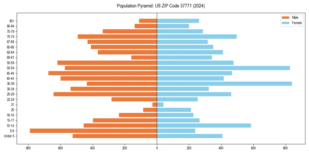 Population pyramid for 