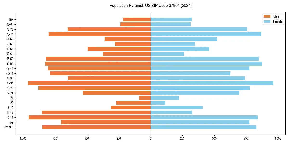 Population pyramid for 