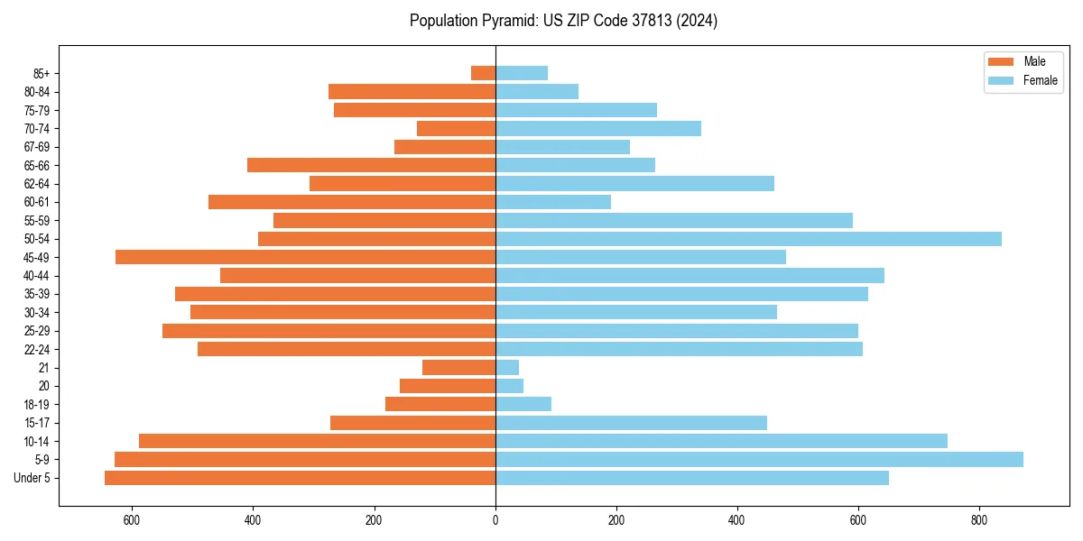 Population pyramid for 