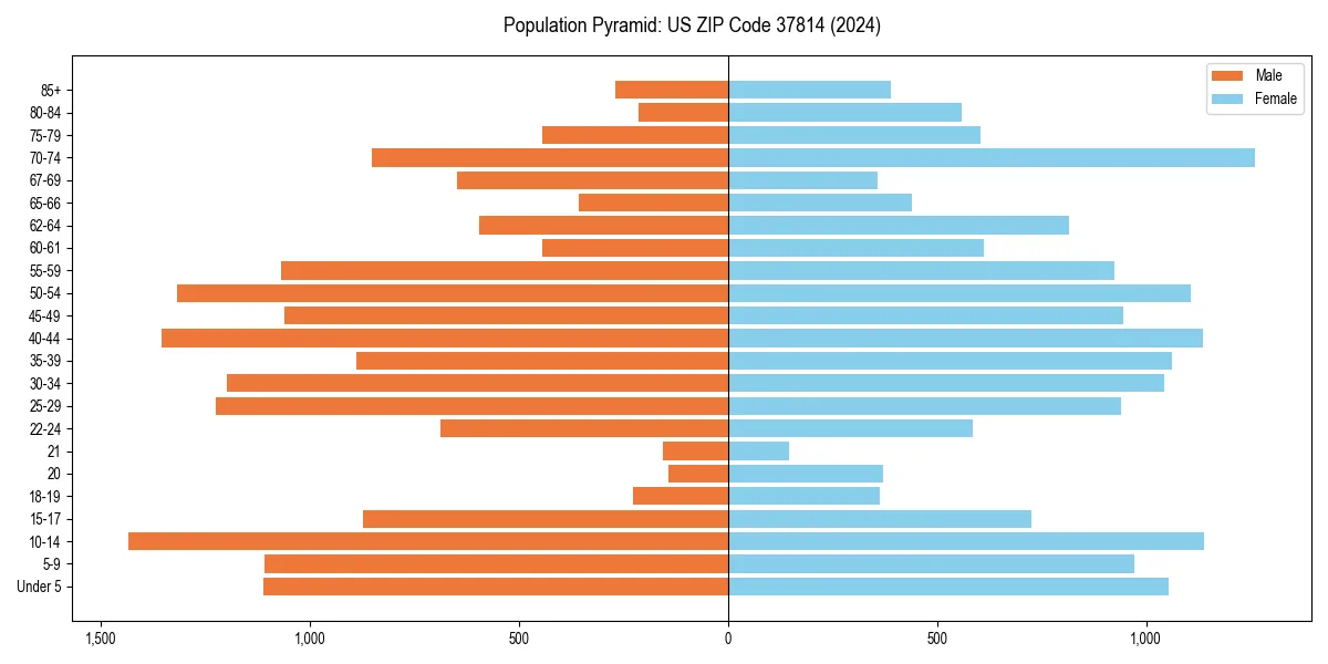 Population pyramid for 