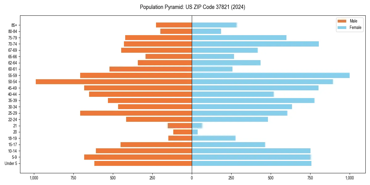 Population pyramid for 