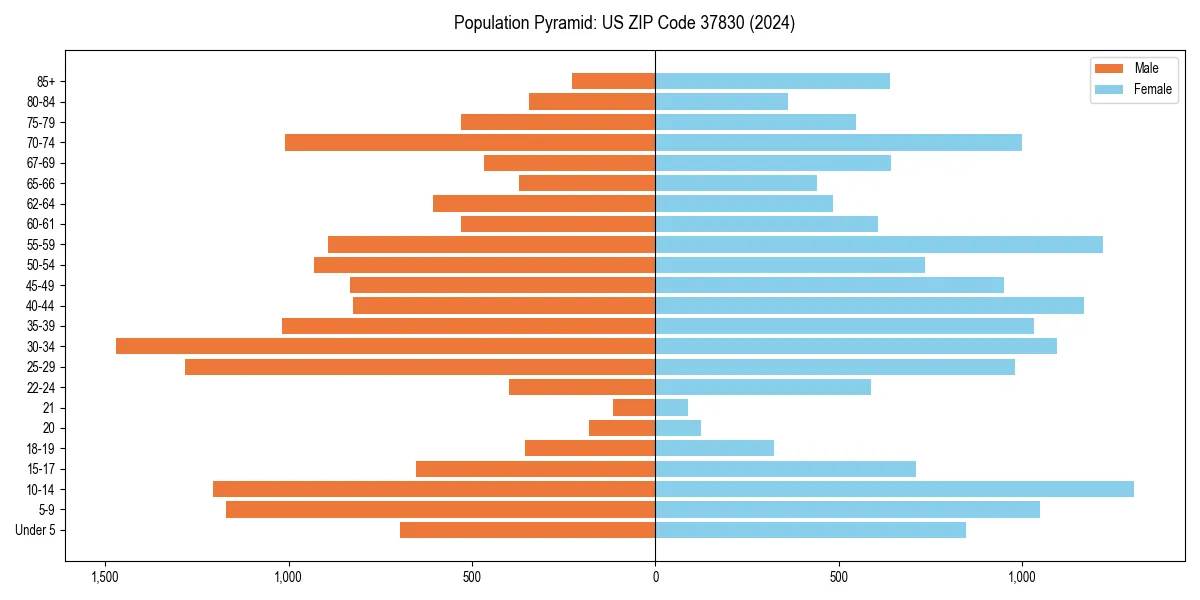 Population pyramid for 