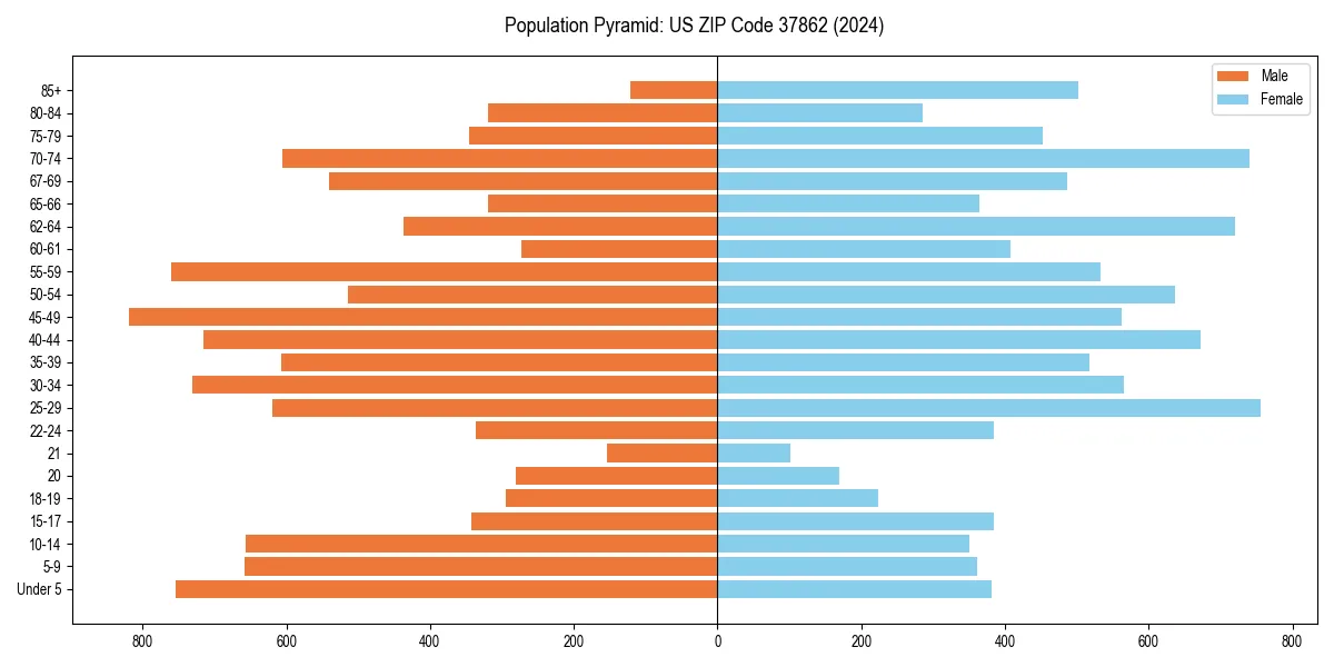 Population pyramid for 