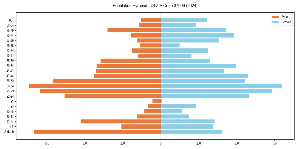 Population pyramid for 