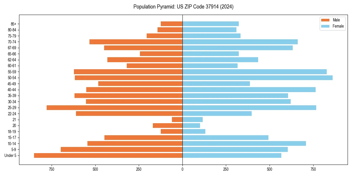 Population pyramid for 