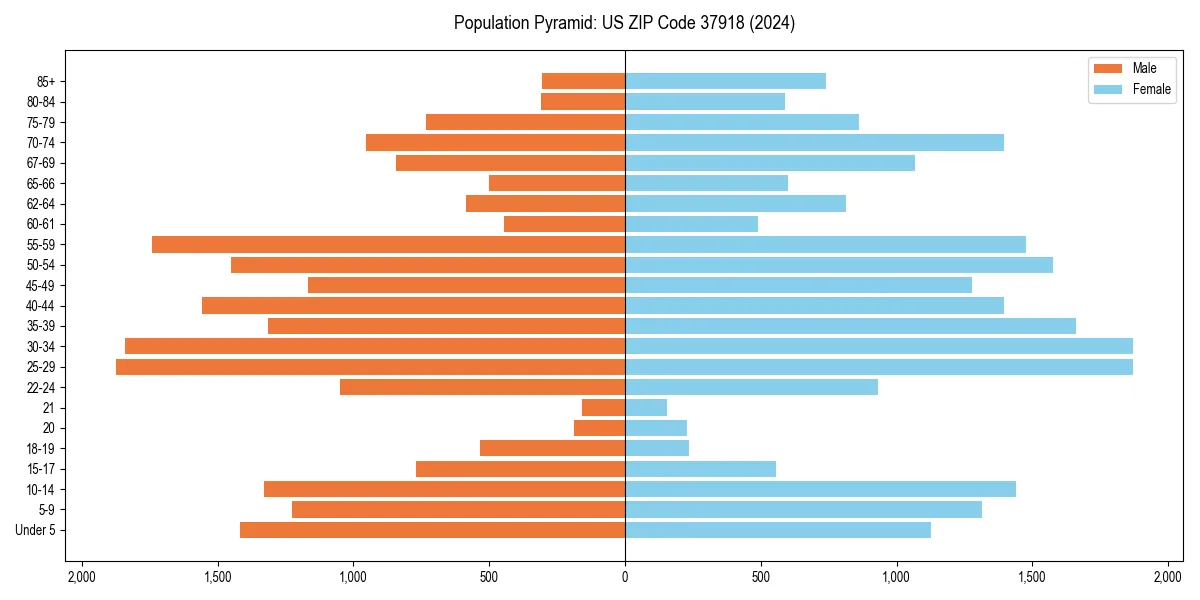Population pyramid for 