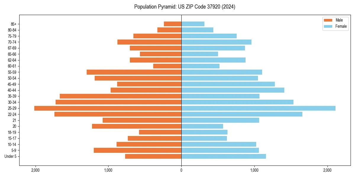 Population pyramid for 
