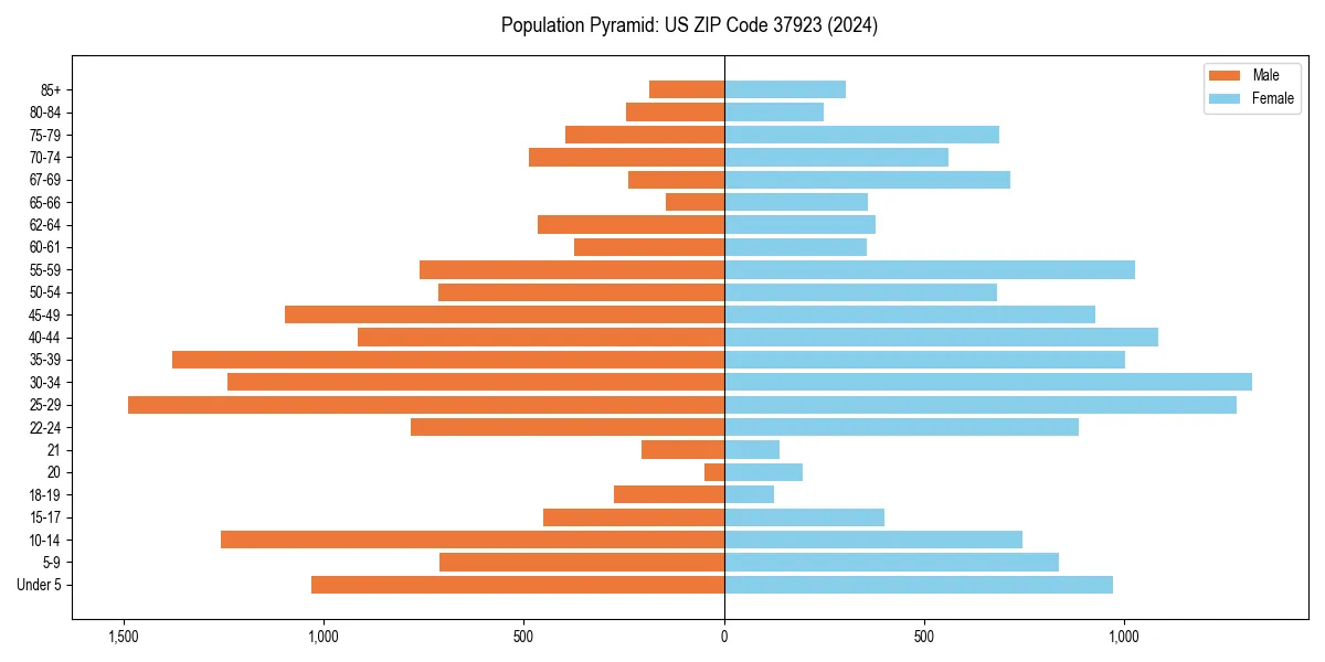 Population pyramid for 