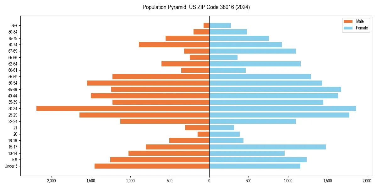 Population pyramid for 