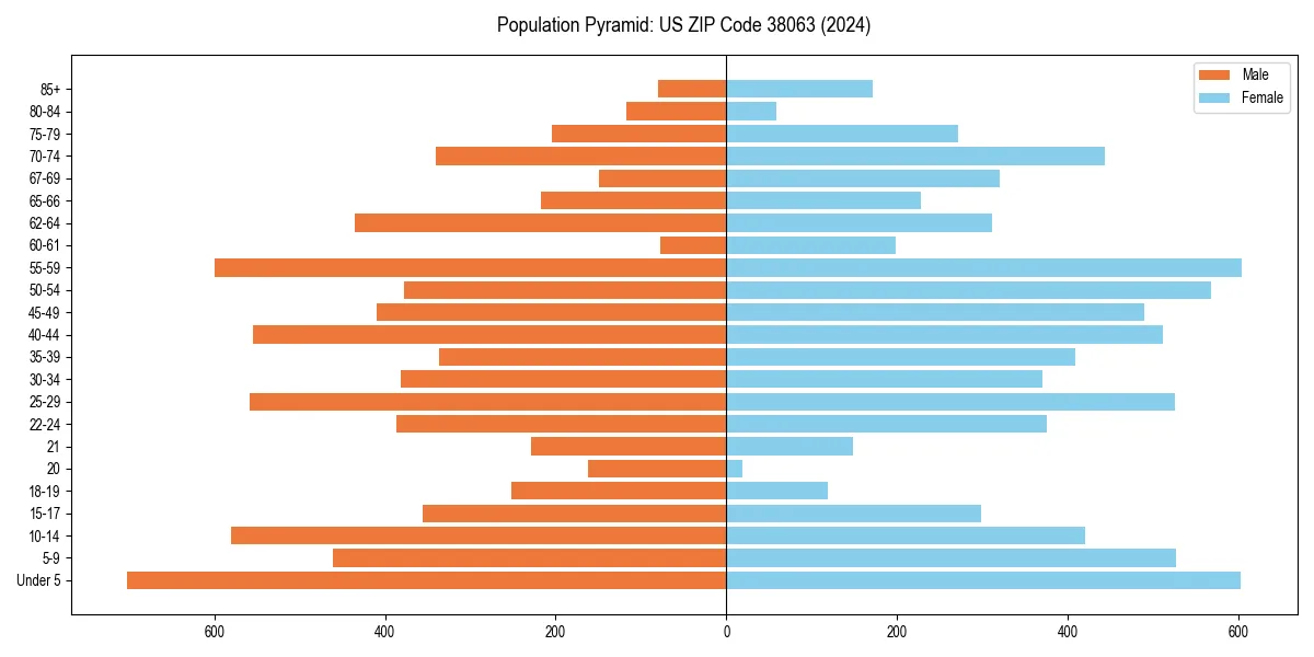 Population pyramid for 
