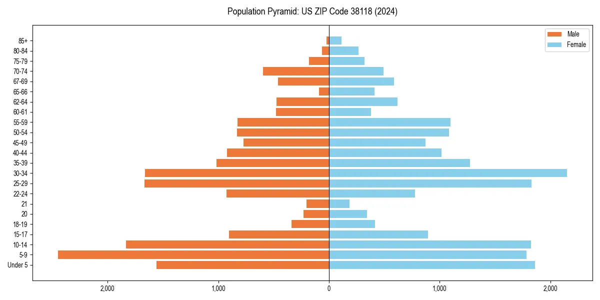 Population pyramid for 