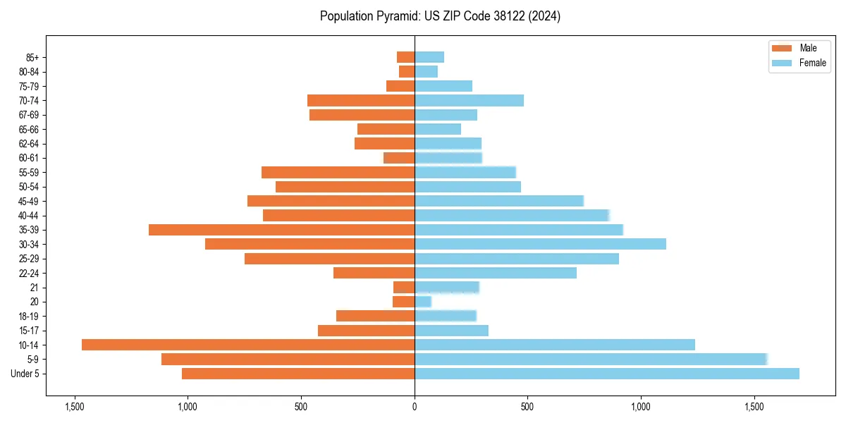Population pyramid for 