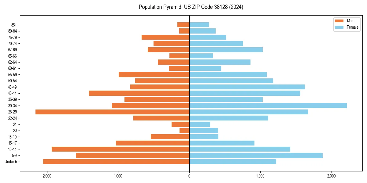 Population pyramid for 