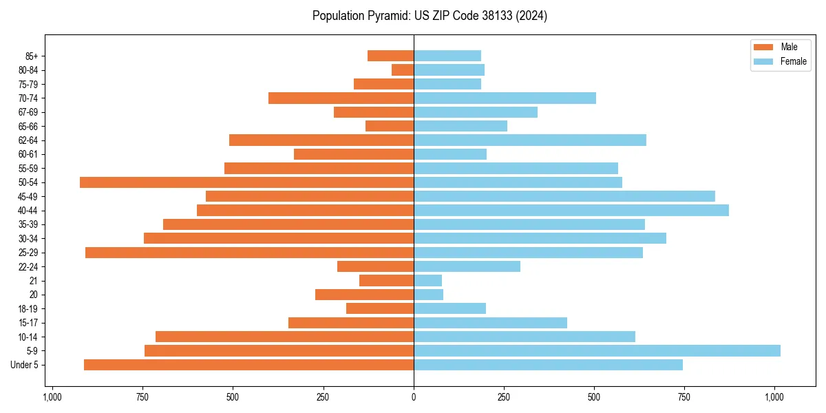Population pyramid for 